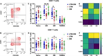 Impaired Mycobacterium tuberculosis-specific T-cell memory phenotypes and functional profiles among adults with type 2 diabetes mellitus in Uganda